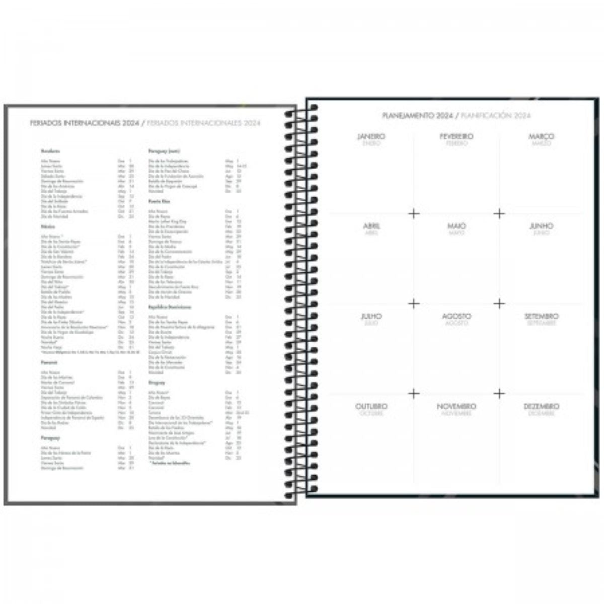 Agenda Executiva Espiral Diária 20 X 27,5 Cm Spot 2024