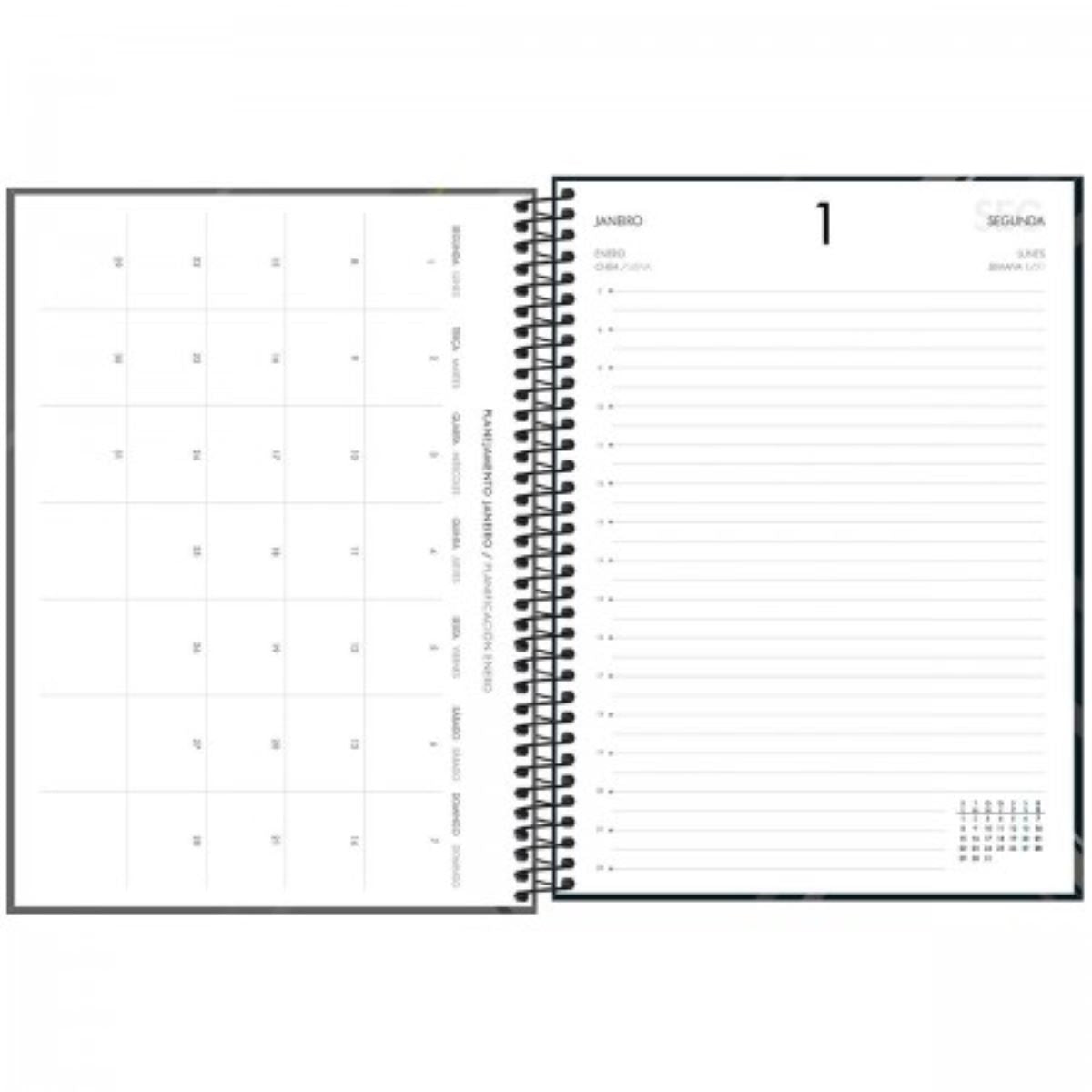 Agenda Executiva Espiral Diária 20 X 27,5 Cm Spot 2024