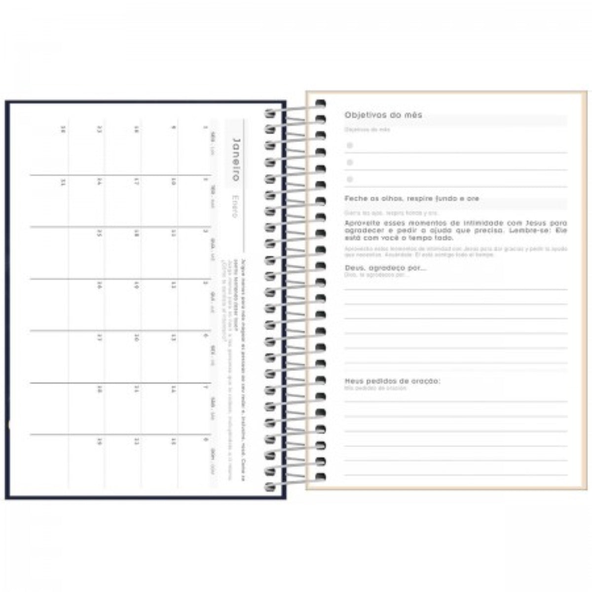 Agenda Espiral Diária 12,9 X 18,7 Cm Louvor 2024
