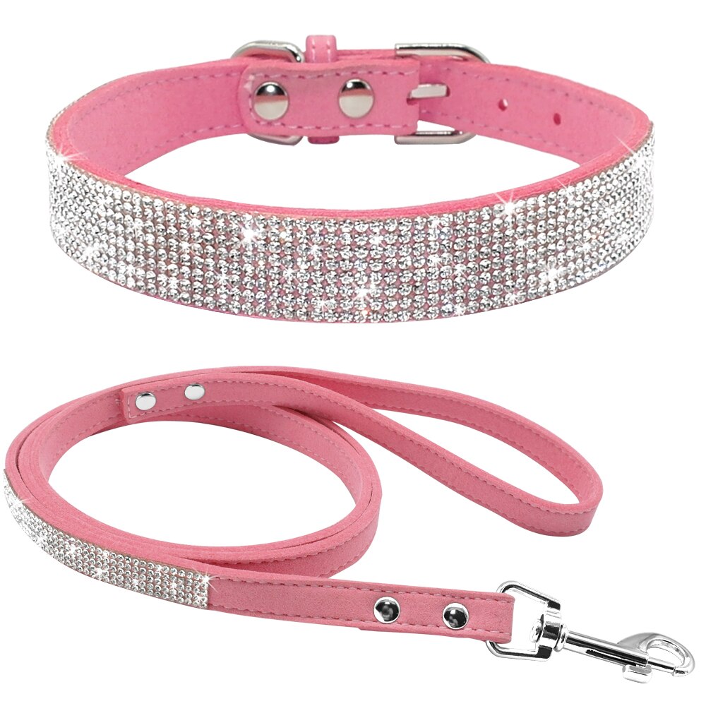 Conjunto de coleira para animais de estimação