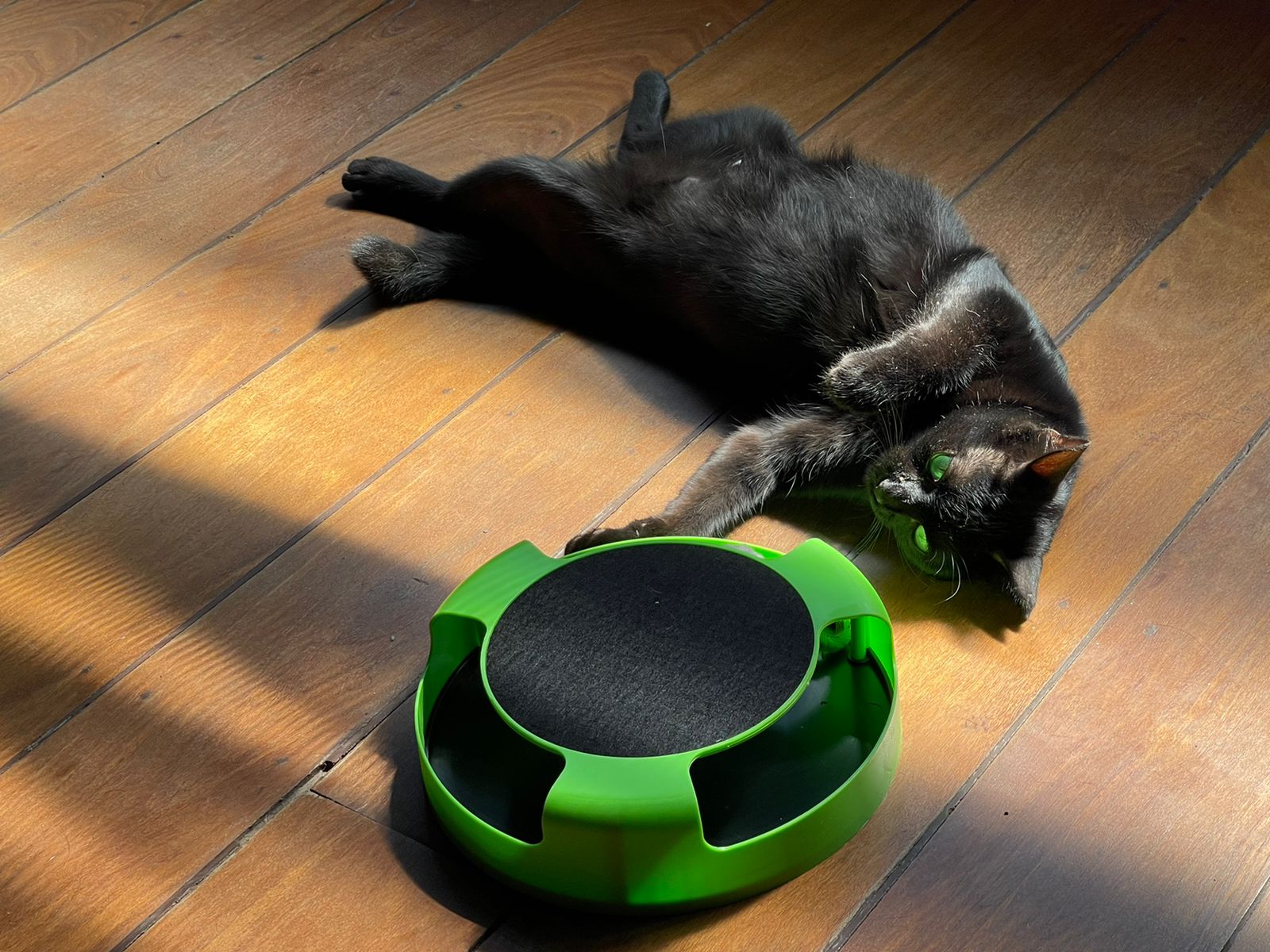 Brinquedo Para Gato Interativo Pegue O Rato Com Arranhador