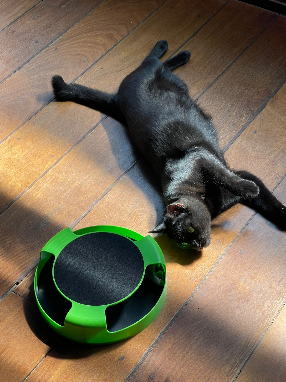 Brinquedo Para Gato Interativo Pegue O Rato Com Arranhador