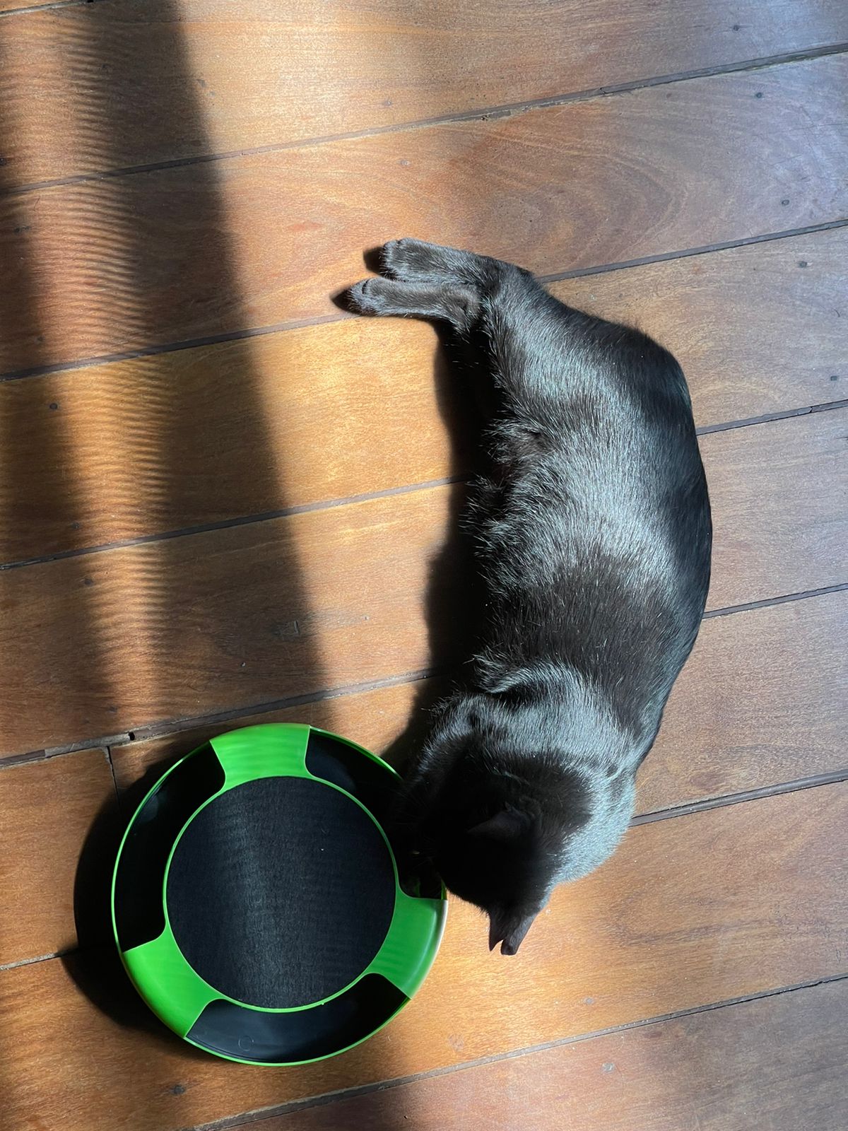Brinquedo Para Gato Interativo Pegue O Rato Com Arranhador