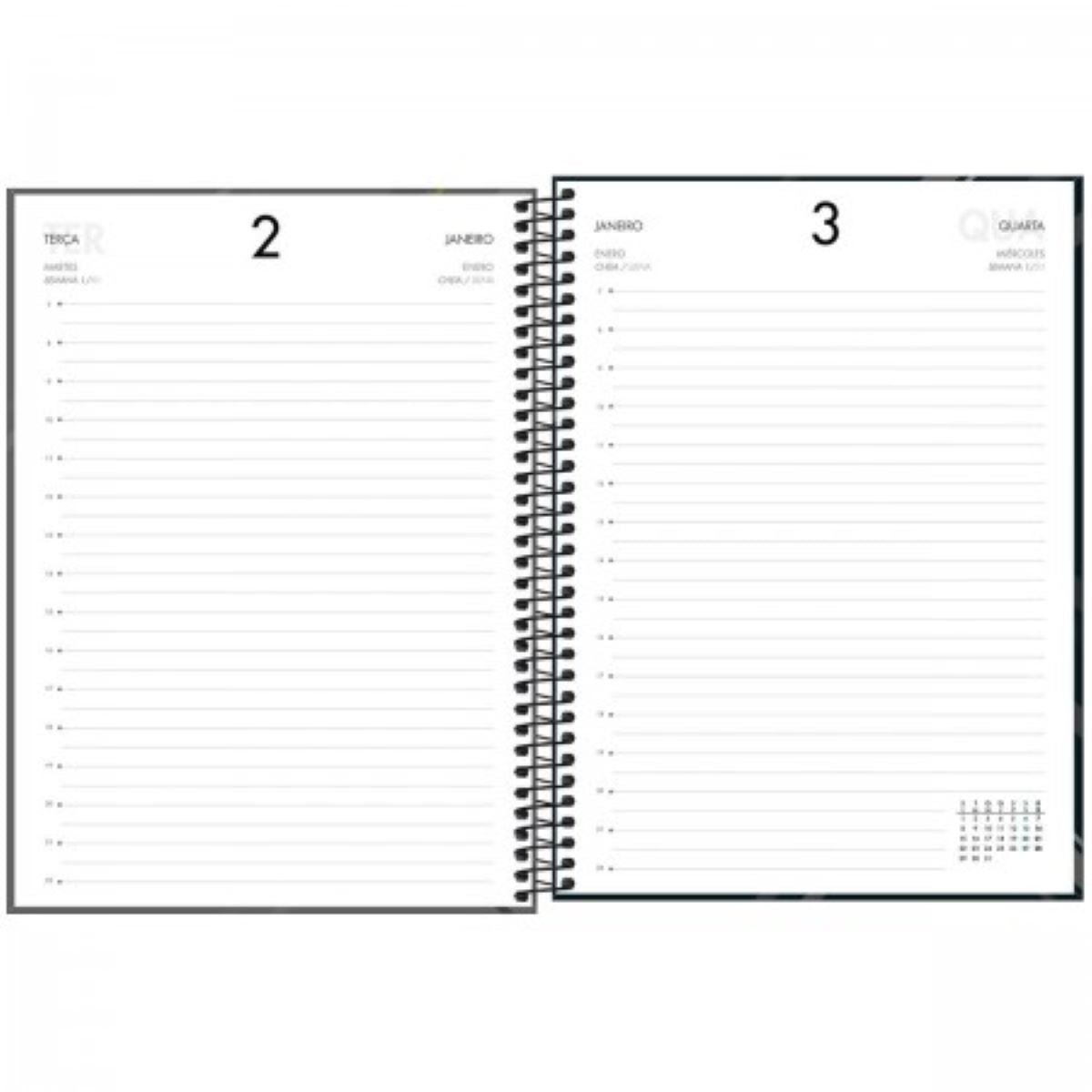Agenda Executiva Espiral Diária 20 X 27,5 Cm Spot 2024