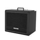 Amplificador Para Guitarra 10 Pol 40w Vosstorm Gx-10