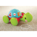 Fisher Price Infantil Empurra Tartaruga