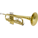 Trompete Tp 200 Laqueado Dourado Com Case New York