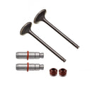 Valvula Guia E Retentor Kit (6pcs) Ww3 Cg 160 16/ - Bros 160