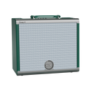 Amplificador Para Guitarra Frfr 250w Vosstorm Swamp 45