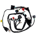 Fiacao Principal (chicote) Condor Cbx 250 Twister 04/05