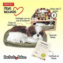 Perfect Petzzz Filhote Cachorro Shih Tzu