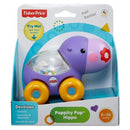 Fisher Price Infantil Veículos Dos Animais