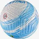 Copa Do Mundo Bola Bandeira Argentina N.5