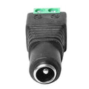 Conector P4 Com Borne Storm 10 Unidades