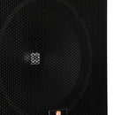 Caixa de Som Passiva HAYONIK CPX-15P 15" com Falante JBL