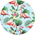 Kit 4 Capas Para Sousplat Flamingo E Costela Adão 35cmx35cm - UN / 4