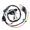Fiacao Principal (chicote) Condor Xlr 125 Ks 01/02