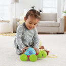 Fisher Price Infantil Empurra Tartaruga