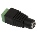 Jack P4 Com Borne Storm 10 Unidades