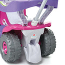 Veículo Para Bebê Super Flower Feminino Completo