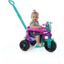Triciclo Kemotoca Baby Dog Roxa Com Tiffany Rx/vd 25kg