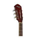 Violão Tagima Memphis Classical AC-40 Aço Natural Satin