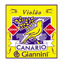 Corda Para Violão Nylon 6ª Mi GENW.6 Série Canário Giannini - DZ / 12