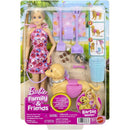Barbie Family Malibu Passeio C/cachorrinha