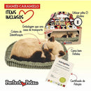 Perfect Petzzz Filhote Gato Siamês Caramelo