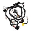 Fiacao Principal (chicote) Condor Fazer 250 05/06