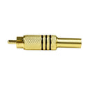 PLUG RCA EVUS C-072 MACHO GOLD COM MOLA - PC / 10 [F133]