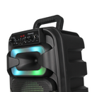 CAIXA AMPLIFICADA FRAHM CMF270 TWS