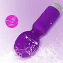 Mini Vibrador Varinha Mágica Recarregável Usb Cor:roxo