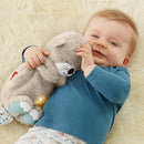 Fisher Price Newborn Toys Lontra Hora Dormir