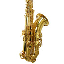 Saxofone Tenor Ts 200 Laqueado Dourado Com Case New York