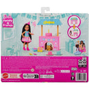 Barbie Family Chelsea Cj Festa Aniversario