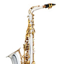 Saxofone Alto Eb Niquelado Laqueado Tsa 200nl Tokai