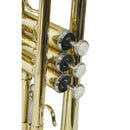 Trompete Tp 200 Laqueado Dourado Com Case New York