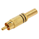 Conector Linha Rca Macho Metal Gold Preto Storm 10 Unidades