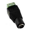 Jack P4 Com Borne Storm 10 Unidades