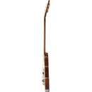 Guitarra Aria Pro II 212-MK2 Bowery Black