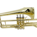 Trombone De Pisto Tb 200p Laqueado Dourado Com Case New York