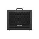 Amplificador Para Guitarra 10 Pol 40w Vosstorm Gx-10