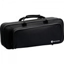 Trompete Harmonics BB HTR-335L Laqueado