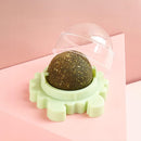 Bola Bolinha Catnip Brinquedo Relaxante Gatos Cor:verde