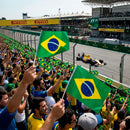 Bandeira De Mão Brasil Dupla Face Com Mastro Festa Jogo