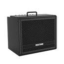 Amplificador Para Guitarra 10 Pol 40w Vosstorm Gx-10