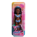 Barbie Dream Besties Broklyn Basica Traje De Banho