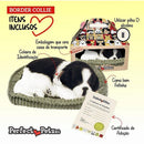 Perfect Petzzz Filhote Cachorro Border Collie
