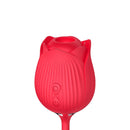 Vibrador Pontog Clitóris Vai E Vem Formato Rosa Usb Vermelho